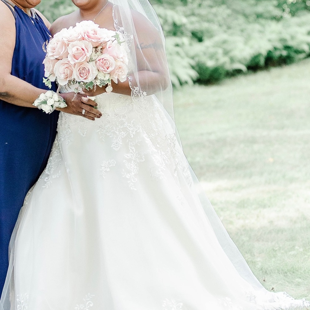 David’s Bridal Jewel wedding gown size 18W champagne and Ivory.